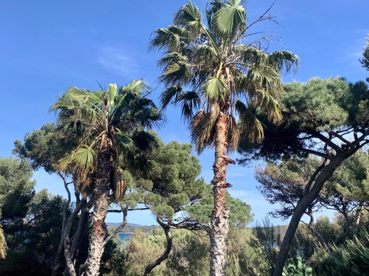 הייר Bergerie Plage Renove Clim Balneo Plage Piscine Jardin Mediterraneen מראה חיצוני תמונה